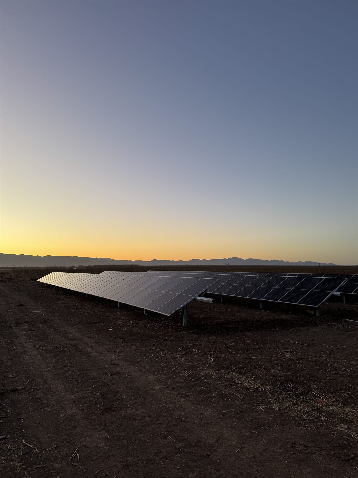 Arreglo solar BOSOL al atardecer en campo de Chihuahua